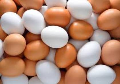 مربو الدواجن بغزة يلوّحون بوقف بيع البيض