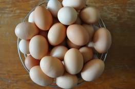 ماذا يحصل عند تناول البيض يوميا؟