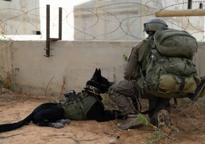 بالصور: تدريبات للواء كفير تحاكي محاربة الأنفاق والقتال داخل المباني بغزة
