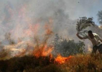 مستوطنون يضرمون النار بحقول زراعية في قرية جالود جنوب نابلس