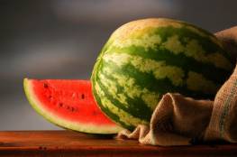 بعد تسجيل حالات تسمم .. زراعة غزة تؤكد سلامة محصول البطيخ
