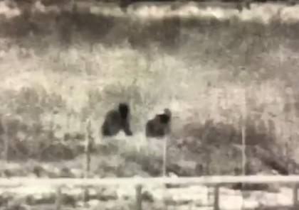 شاهد الفيديو : جيش الاحتلال ينشر فيديو يزعم أنه لخلية الجهاد شرق خانيونس
