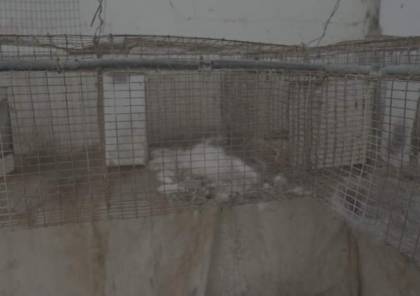 بلدية غزة: الاحتلال دمر حديقة الحيوانات وقتلهم جوعًا