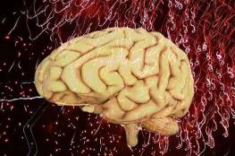 5 ممارسات لتحسين عمل الدماغ