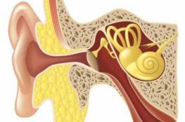 علامات الإصابة بالتهابات الأذن الوسطى
