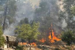 تجدد الحريق بغابات القدس.. النيران تشتعل بـ20 ألف دونم