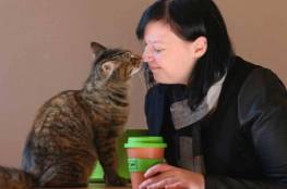 القطط والأمراض العقلية.. دراسة تكشف "التأثير الخطير"
