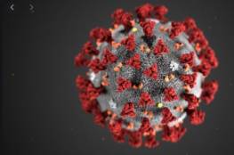 علماء صينيون يلتقطون صورا مفصلة لفيروس كورونا..صور تساعد في ايجاد اللقاح