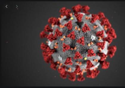 علماء صينيون يلتقطون صورا مفصلة لفيروس كورونا..صور تساعد في ايجاد اللقاح