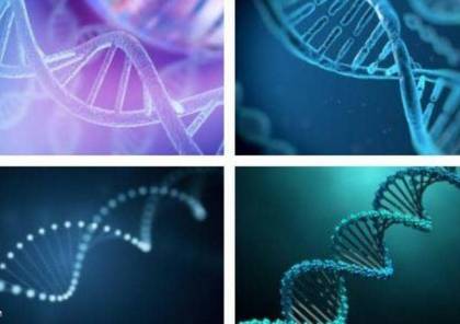 علماء يتمكنون من فك شيفرة "الجينوم البشري" بشكل كامل