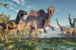 فيديو : اكتشاف واحدة من أكبر فصائل الديناصورات في العالم