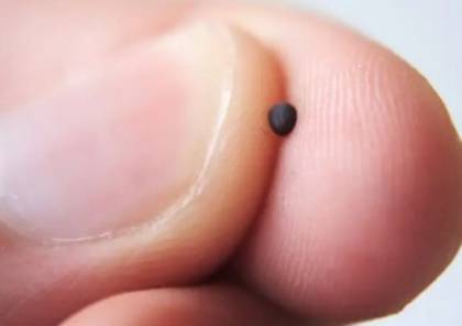 بحجم حبة الملح: أصغر كاميرا في العالم