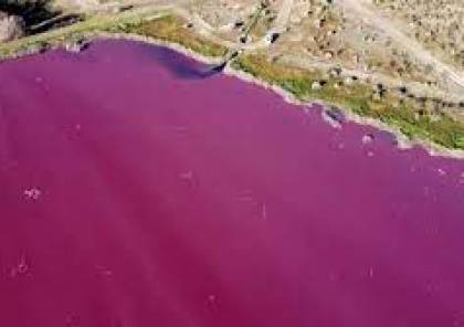 شاهد: بحيرة في الأرجنتين تتحول إلى اللون الوردي بسبب غير طبيعي 