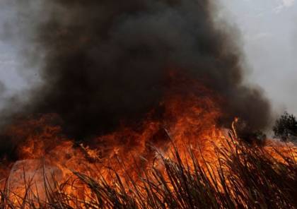 مستوطنون يحرقون أشجارا ويخربون ممتلكات متنزه في قراوة بني حسان