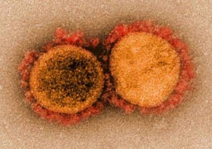 اكتشاف صادم... الطفرة الهندية تستطيع تحييد المناعة المكتسبة ضد فيروس كورونا