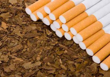 وزارة المالية بغزة تعقب حول ارتفاع اسعار التبغ في القطاع