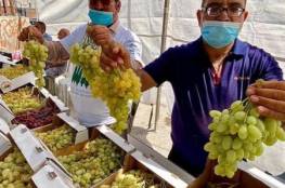 افتتاح سوق العنب الثاني والمنتجات النسوية في الخضر