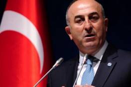 وزير الخارجية التركي: من الخطأ اعتبار التطبيع مع إسرائيل "خيانة" للقضية الفلسطينية
