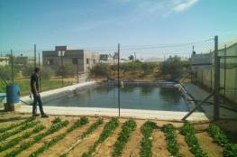 "الإغاثة الزراعية" تُنشئ بركاً لتجميع مياه الأمطار في خانيونس ورفح
