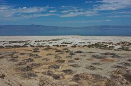 انخفاض مستوى البحر الميت لـ437 مترا