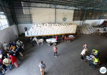 غزة: الزراعة توزع أعلاف على المُربين بقيمة 1.5 مليون دولار