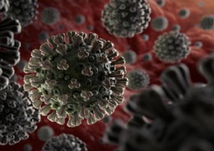 علماء يحددون ما يسمح لفيروس "كورونا" باختراق الخلايا البشرية!