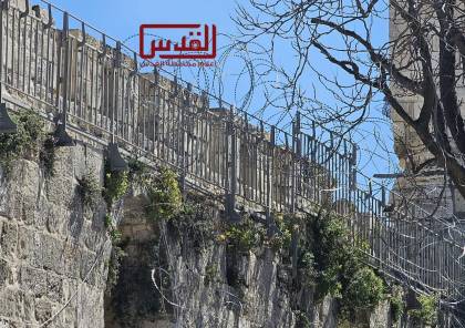 الاحتلال يضع أسلاكا شائكة على السور المحاذي للمسجد الأقصى 