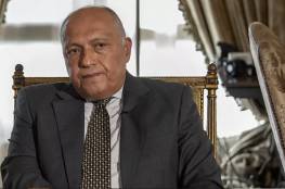 وزير الخارجية المصري يحدد متطلبات اتفاق "المصالحة الخليجية" مع قطر... فيديو