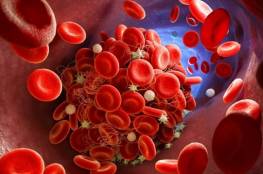 كيف يمكنك زيادة خلايا الدم الحمراء؟ تفاصيل