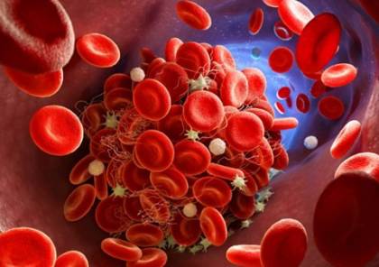 كيف يمكنك زيادة خلايا الدم الحمراء؟ تفاصيل