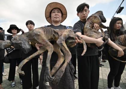 مسيرات مناهضة في "يوم لحوم الكلاب" بكوريا الجنوبية