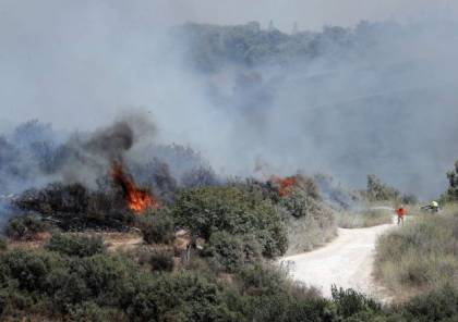 صحيفة إسرائيلية: كيف وصلت حرائق الغابات في مدينة القدس إلى بن غوريون في قبره؟ 