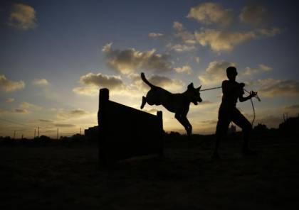تيلغراف البريطانية : "حماس" تحظر تجول المواطنين بصحبة الكلاب في غزة
