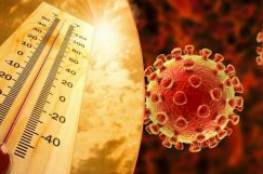 دراسة تزعم أن الحرارة لا تمنع انتشار "كوفيد-19" وتكشف المحرك الأكبر المحتمل لانتقال الفيروس!