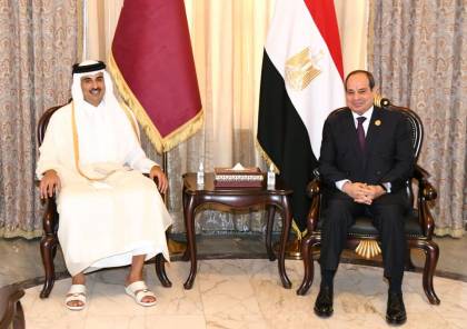 الرئاسة المصرية تكشف تفاصيل اجتماع السيسي مع أمير قطر