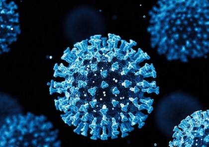 اكتشاف سلالة جديدة من فيروس كورونا!