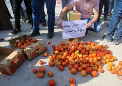 غزة: المزارعون يحتجون على شروط الاحتلال لتصدير البندورة
