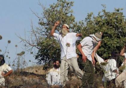  أكثر من 100 اعتداء من قبل المستوطنين على الفلسطينيين في 10 أيام