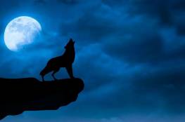 "قمر الذئب" أول بدر في 2021 يزين سماء الأرض هذا الأسبوع