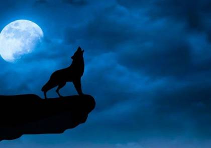 "قمر الذئب" أول بدر في 2021 يزين سماء الأرض هذا الأسبوع