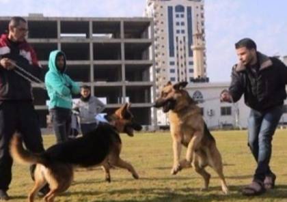 الداخلية بغزة تصدر قراراً بمنع اصطحاب الكلاب في الأماكن العامة