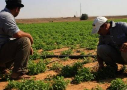 زراعة غزة تُصدر تنويهًا مهمًا حول المنخفض الجوي القادم