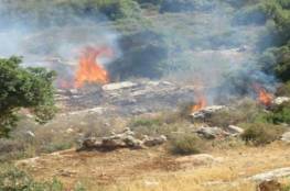 مستوطنون يحرقون أراضي زراعية جنوب نابلس