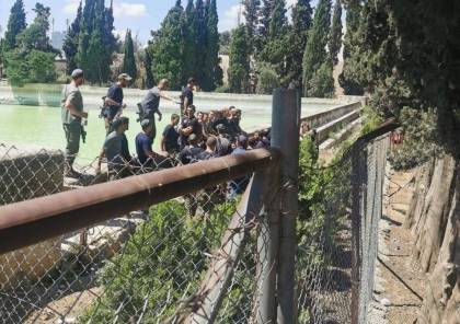 عشرات المستوطنين يقتحمون برك سليمان بحماية جيش الاحتلال