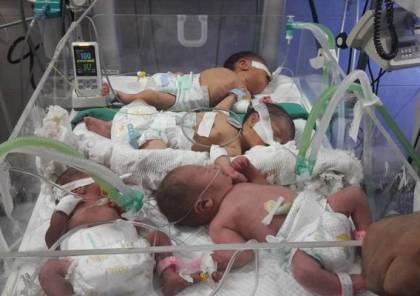 غزة: نحو 4 آلاف مولود و307 حالات وفاة الشهر المنصرم