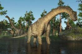 اكتشاف ديناصور عملاق في تشيلي