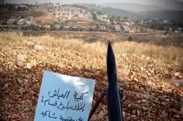 صحيفة عبرية: عاملان يدفعان لتطوير صواريخ الضفة