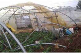 زراعة نابلس تدعو المزارعين المتضررين من العاصفة لتوثيق أضرارهم