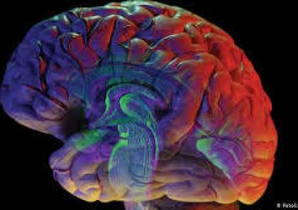 الباحثون يحللون آلية الدماغ للإدمان بالمخدرات