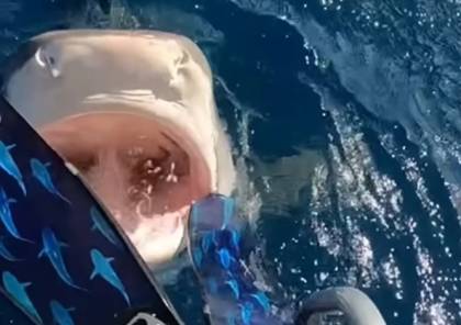 فيديو "في لمح البصر".. باغتها القرش وهي على القارب